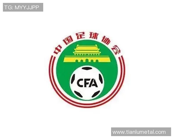 武汉足球队运营分析:成功经验与教训的深度剖析与反思 武汉足球队运营分析:成功经验与教训的深度剖析与反思