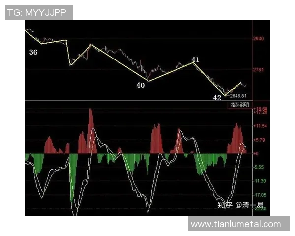 南京羽毛球队与杭州羽毛球队赛后复盘分析比赛节奏与战术对比