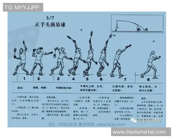 广州羽毛球队节奏分析:探讨其比赛表现与战术策略的深度研究 广州羽毛球队节奏分析:探讨其比赛表现与战术策略的深度研究