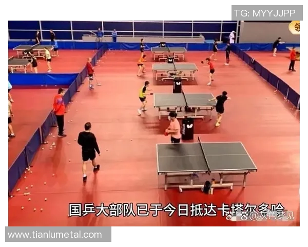 成都乒乓球队比赛经验引发热议球迷观点各异探讨背后原因