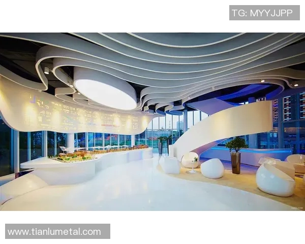 深入分析西安羽毛球队的运营策略与发展模式探讨