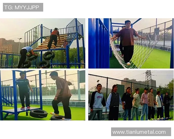 提升心理素质助力竞技水平上海羽毛球队的心理训练探索与实践 提升心理素质助力竞技水平上海羽毛球队的心理训练探索与实践