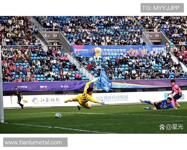 南京乒乓球队在城市联赛中的技术表现分析与点评