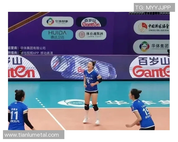 成都排球队的拼搏之路欧锦赛背后的感人故事与奋斗精神