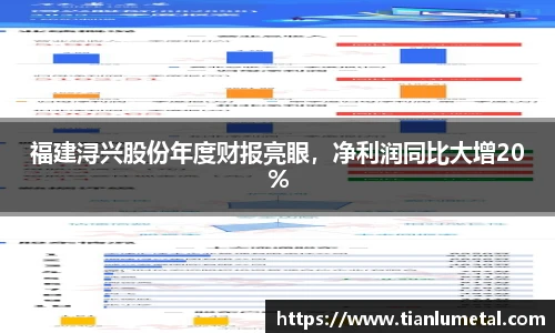 福建浔兴股份年度财报亮眼，净利润同比大增20%