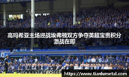 高玛希亚主场迎战埃弗顿双方争夺英超宝贵积分激战在即