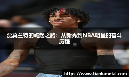 j9九游会官方网站