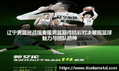 辽宁男篮迎战喀麦隆男篮期待精彩对决展现篮球魅力与团队精神