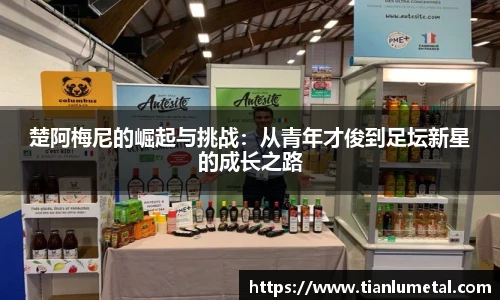 楚阿梅尼的崛起与挑战：从青年才俊到足坛新星的成长之路
